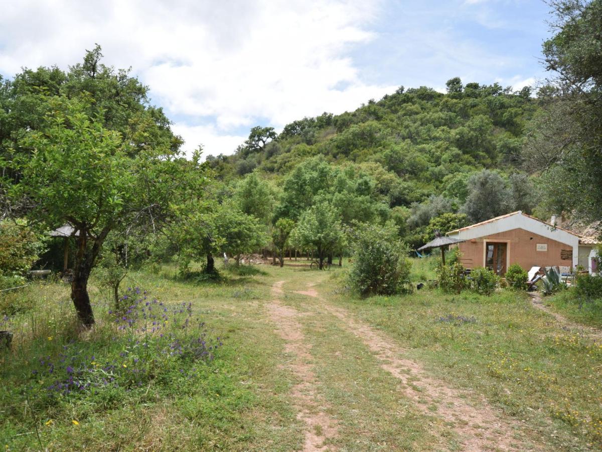 Serene Cottage In S O Lu S With Barbecue Troviscais Esterno foto